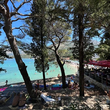 A&M Cavtat Family Apartment - 3 Bedrooms And Free Parking Eksteriør bilde