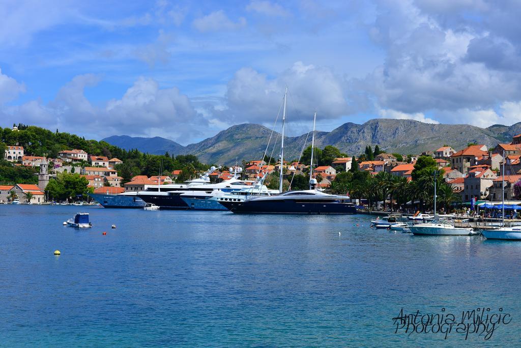 A&M Cavtat Family Apartment - 3 Bedrooms And Free Parking Eksteriør bilde